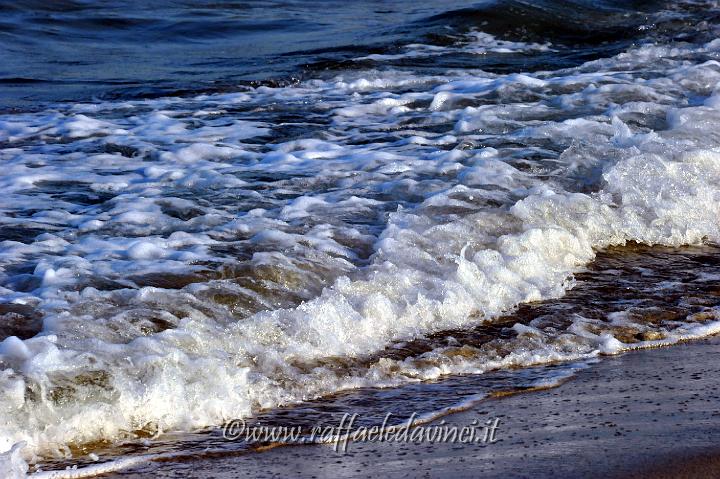 11.5.2011 Saline di Priolo con Antonella (418).jpg